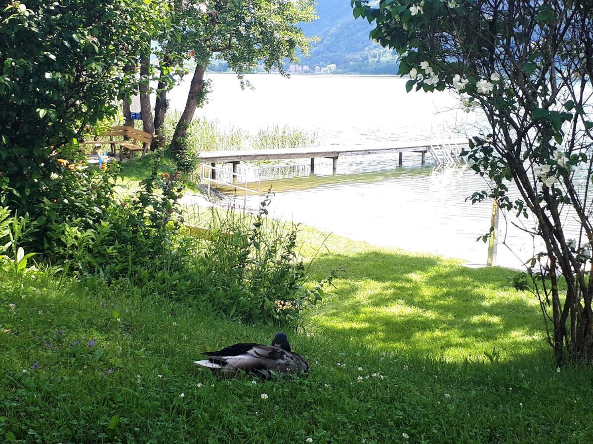 Maren Seeblick Appartement Haus Haensel&Gretel Direkt Am Ossiacher See Mit Hallenbad Stiegl Eksteriør bilde
